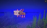 Axolotls are amphibian (Image via Minecraft Wiki)